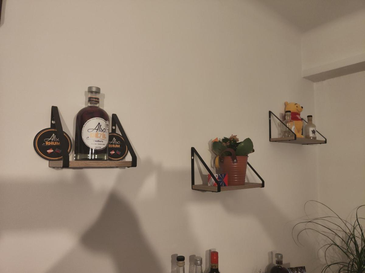 Très grand appartement de 76m2 à Strasburgo Esterno foto